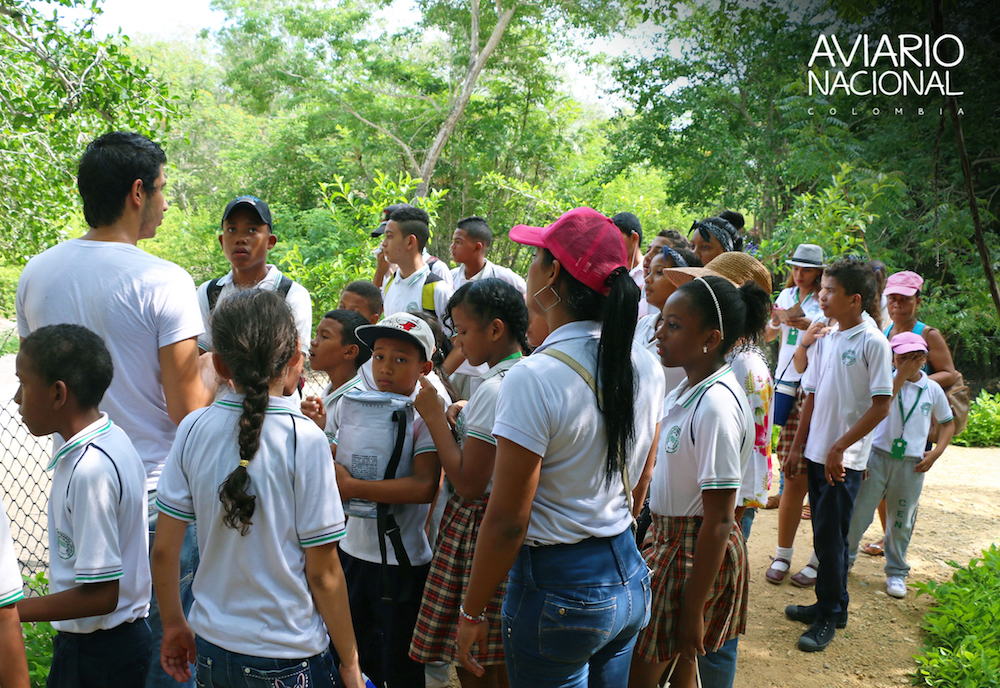 aviario-nacional-educacion-2